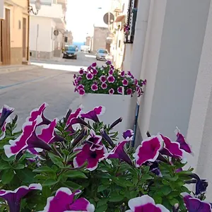 https://casa-vacanze-nautilus.sicilyhotelsitaly.net